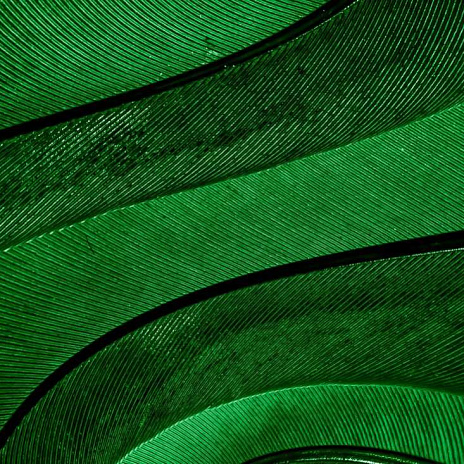 Расширение сферы действия постановления № 74